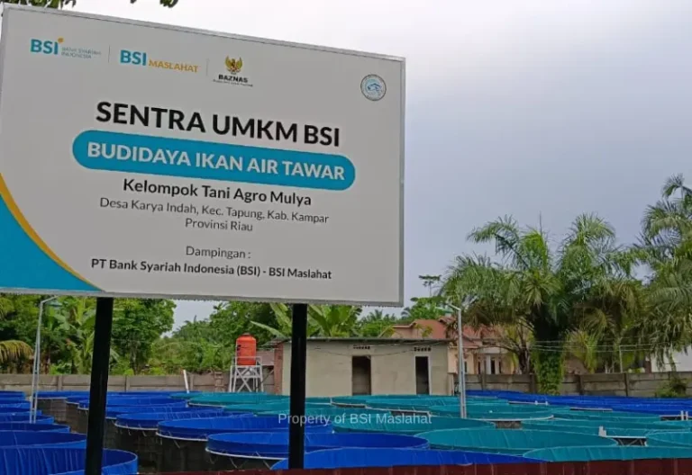 Kelompok Tani Agro Mulya: UMKM Binaan BSI Maslahat Sukses Berdayakan Mustahik Lewat Budidaya Ikan Bioflok 
