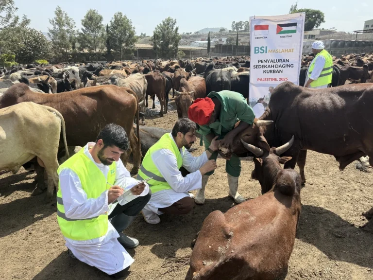 BSI Maslahat Salurkan Kurban dan Sedekah Daging untuk Palestina dalam Bentuk Daging Kaleng