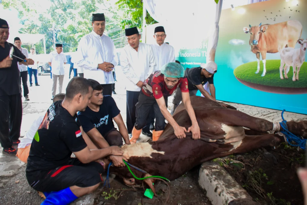 Kapan Waktu Terbaik Menyembelih Hewan Kurban?