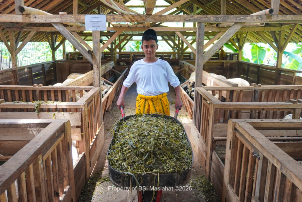 BSI Maslahat Perkuat Ketahanan Ekonomi Santri Yatim Dhuafa di Yayasan Khoirul Hikmah Lewat Program Sahabat Kebaikan Yatim Klaster Pemberdayaan