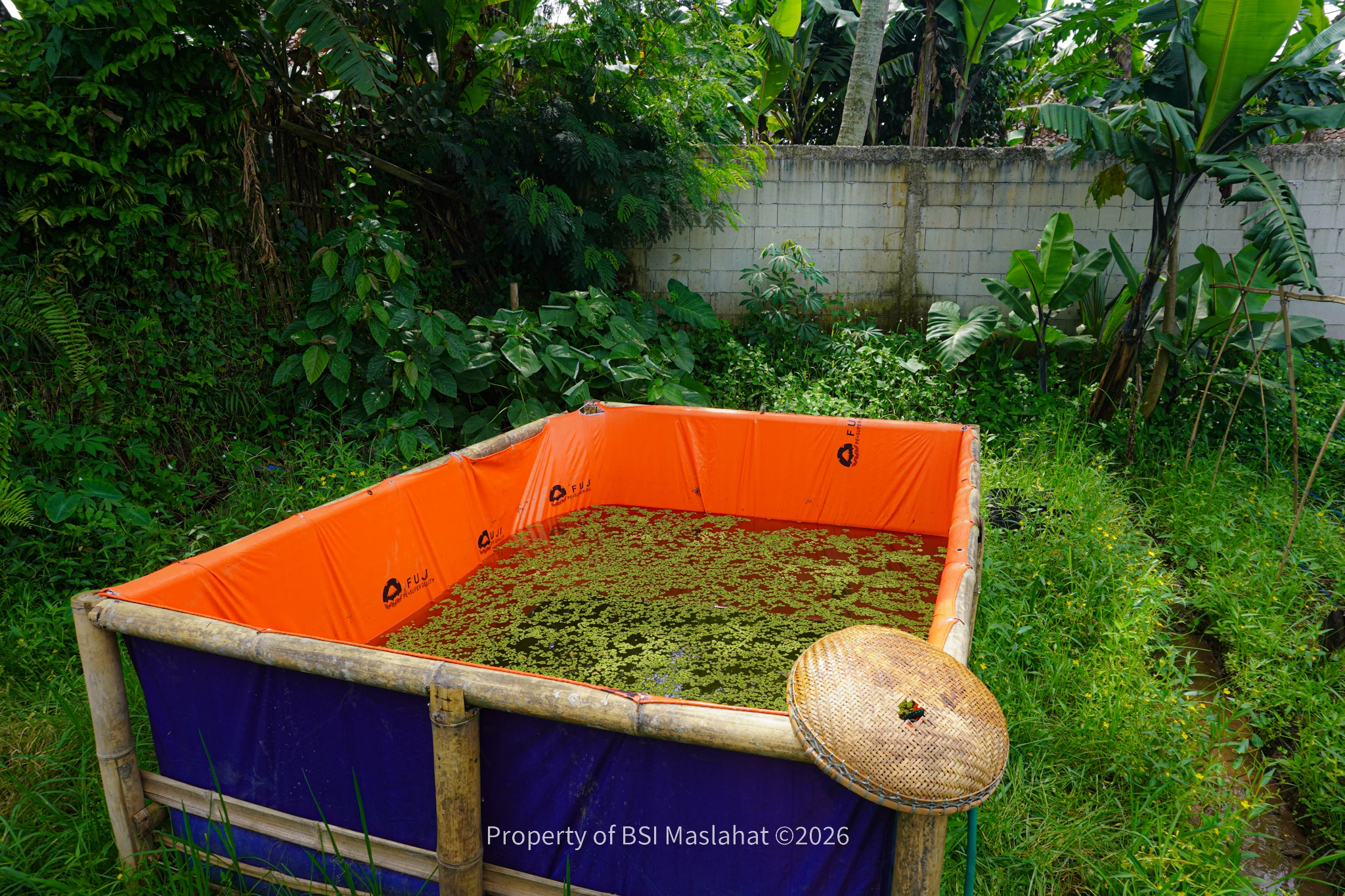BSI Maslahat Wujudkan Yatim Mandiri dan Berdaya Lewat Program Sahabat Kebaikan Yatim di Yayasan Madinah Al Hijrah