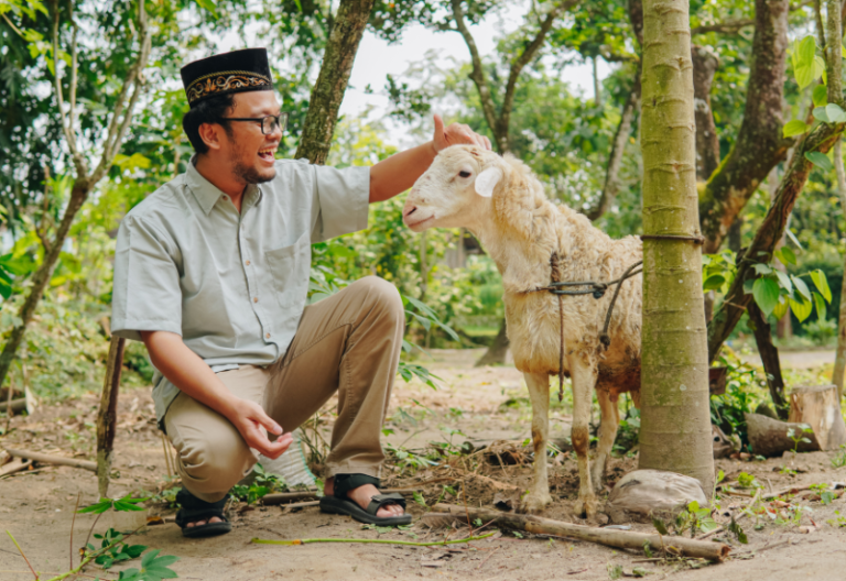 Jangan Keliru, Ini Perbedaan Kurban dan Aqiqah yang Perlu Dipahami Umat Muslim