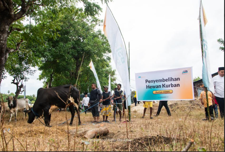 BSI Maslahat Siap Sambut Iduladha 2026 dengan Menyiapkan Ribuan Hewan Kurban Terbaik