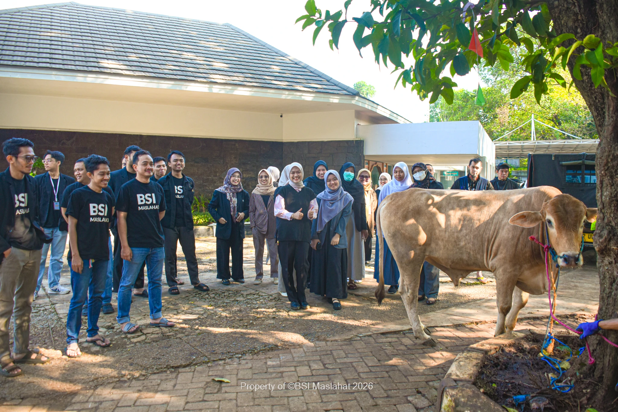 BSI Maslahat Hadirkan Manfaat Kurban untuk Pegawai dan Masyarakat di Hari Raya Iduladha